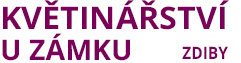 Next Image